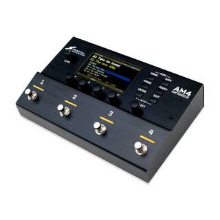 FRACTAL AUDIO SYSTEMS AM4【即納可能!】