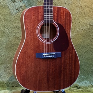 アコースティックギター／エレクトリック・アコースティックギター