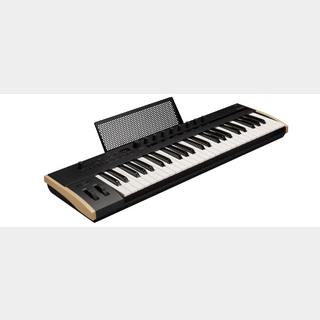 KORG Keystage-49 POLY AT MIDI KEYBOARD ◆今なら即納可能!【ローン分割手数料0%(12回迄)】