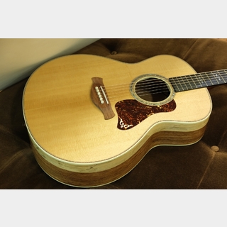 Taylor Gold Label 814e / Natural