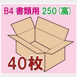 In The Box 書類用ダンボール箱 「B4書類サイズ(390×265×250mm) 40枚」