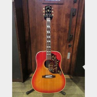 アコースティックギター、Gibson、Humming Birdの検索結果【楽器検索