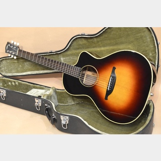 アコースティックギター　VG-S2 LTD S-Eucalyptus 寺田楽器 VG VG-S2 LTD C-Koa|ドルフィンギターズ