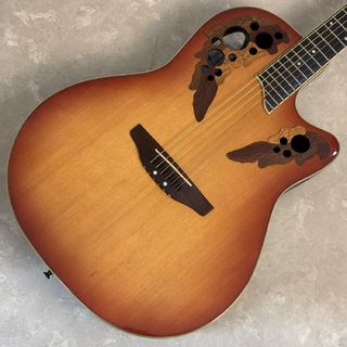 アコースティックギター／エレクトリック・アコースティックギター