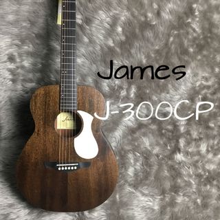 JamesJ-300Compact/M 【アコースティックエフェクトシステム搭載！】