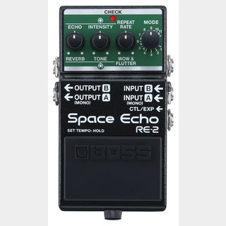 Roland RE-201の検索結果【楽器検索デジマート】