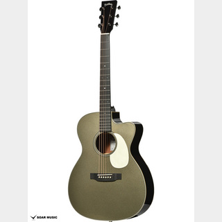Headway ヘッドウェイ HL-V085SE OAG(Old American Gold)#JT250457
