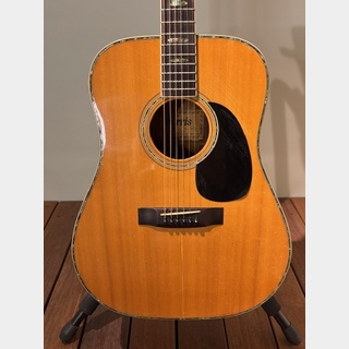 アコースティックギター／エレクトリック・アコースティックギター