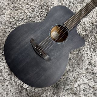 アコースティックギター／エレクトリック・アコースティックギター