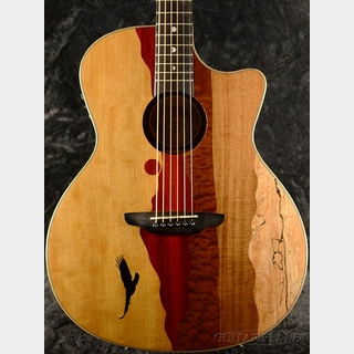 Luna Guitars Vista Eagle Tropical Wood A/E【エレアコ】