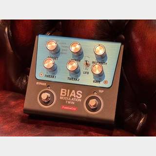 期間限定値下げ　POSITIVE GRID BIAS DELAY Positive Grid BIAS Delay Twin - 「BIAS Delay」を2フット