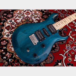 Paul Reed Smith(PRS)SE Swanp Ash Special エレキギター