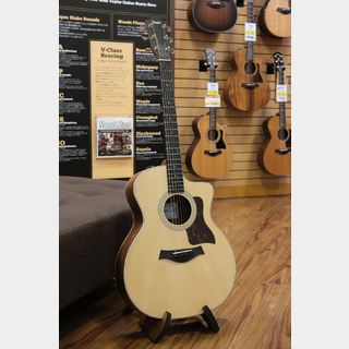 Taylor214ce Rosewood