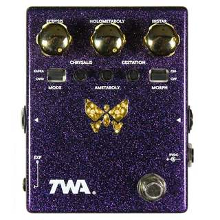 Totally Wycked Audio DM-02 DYNAMORPH Envelope-Controlled Harmonic Generator ダイナモーフ【WEBSHOP】