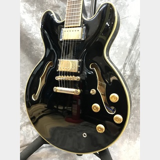 エレクトリックギター ＞ セミアコ、epiphone、シェラトンIIの検索結果