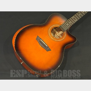 ワッシュバーンより目を引くデザインの新たなエレアコ・モデルが3種