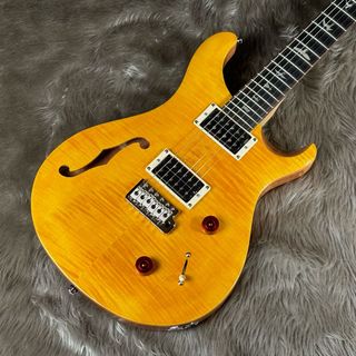 Paul Reed Smith(PRS) SE CUSTOM 22 SH【現物画像】【S/N:CTI F006233】【重量：3.20kg】