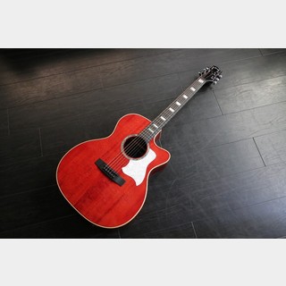 エレクトリック・アコースティックギターの検索結果【楽器検索デジマート】