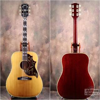 アコースティックギター、Gibson、Humming Birdの検索結果【楽器検索