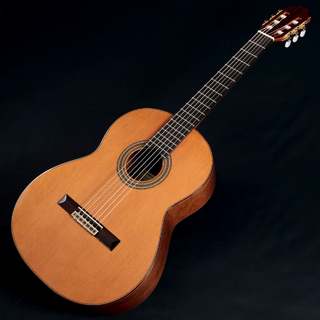 Juan Hernandezの検索結果【楽器検索デジマート】