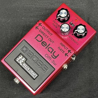 BOSS DM-2W / WAZA CRAFT / Delay 【新宿店】