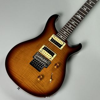 Paul Reed Smith(PRS)SE Custom24Floyd【現物画像】