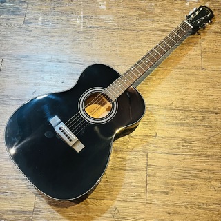 アコースティックギター、ARIAの検索結果【楽器検索デジマート】