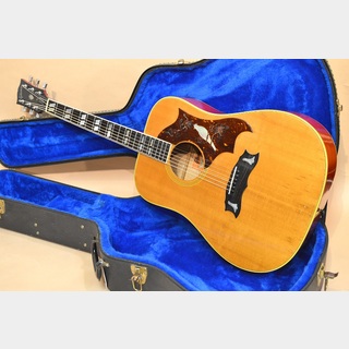 アコースティックギター、Gibson、Doveの検索結果【楽器検索デジマート】