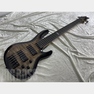 E-II BTL-5 (Black Natural Burst)