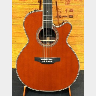 エレクトリック・アコースティックギター、Takamineの検索結果【楽器