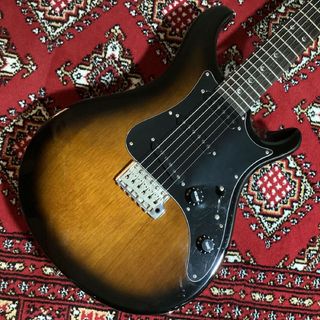 Paul Reed Smith(PRS) SE EG