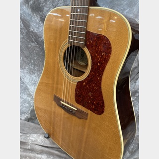 GUILD D-40