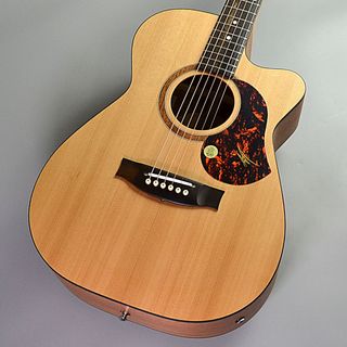 MATON SRS808C【現物画像】【長期展示品・極小傷あり】【1本限りの特別限定価格】