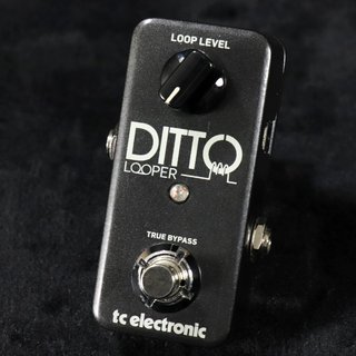 tc electronic Ditto Looper 【梅田店】