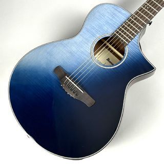 アコースティックギター／エレクトリック・アコースティックギター