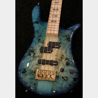 ベース、Spectorの検索結果【楽器検索デジマート】