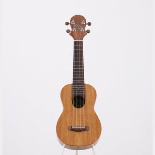 BIG ISLAND KT-SPS【新宿店】