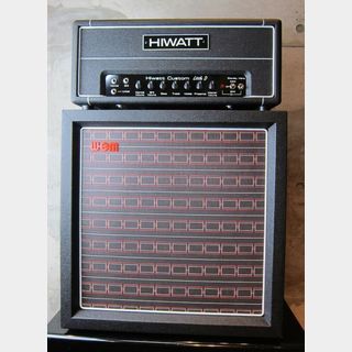 Hiwatt Little D Rig  David Gilmour  Sig./ WEM Cabinet Set