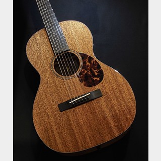 アコースティックギター／エレクトリック・アコースティックギター
