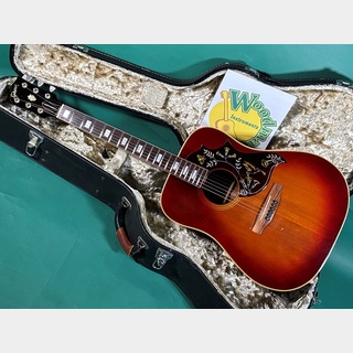 アコースティックギター、Gibson、Humming Birdの検索結果【楽器検索