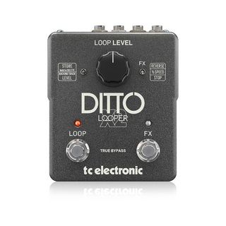 エフェクター（ギター・ベース用）、t.c. electronic、Ditto X2の検索 